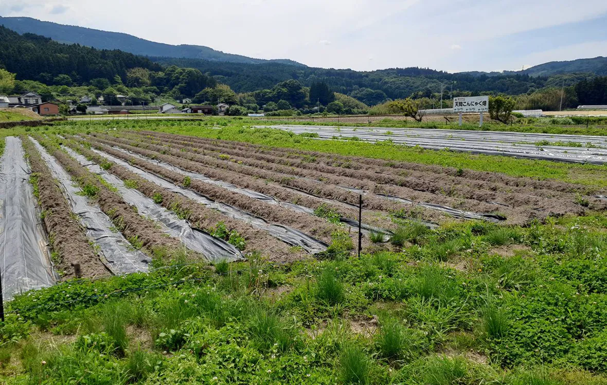 「ひと・まち支え合い交通（ボランティア輸送）」の様子1
