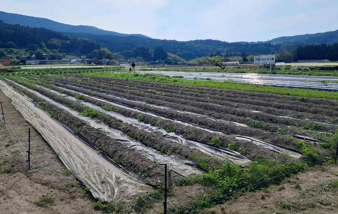 「ひと・まち支え合い交通（ボランティア輸送）」の様子4
