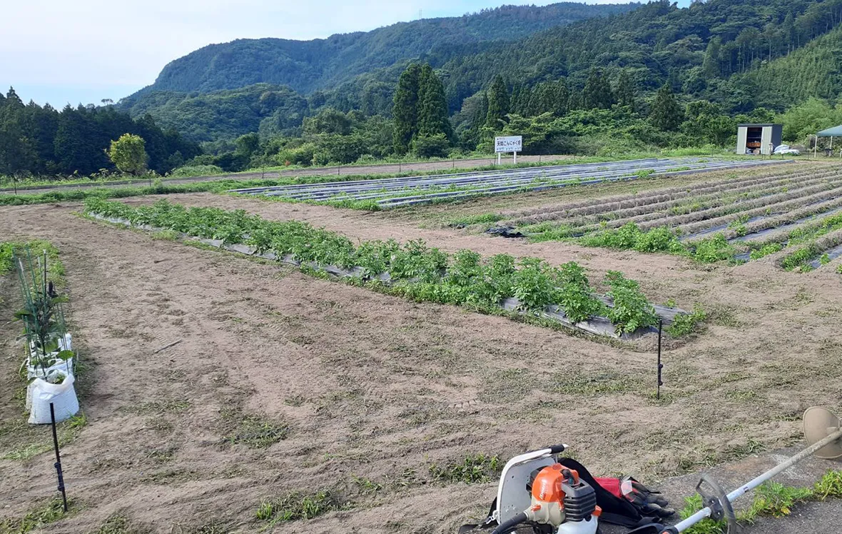 「ひと・まち支え合い交通（ボランティア輸送）」の様子5