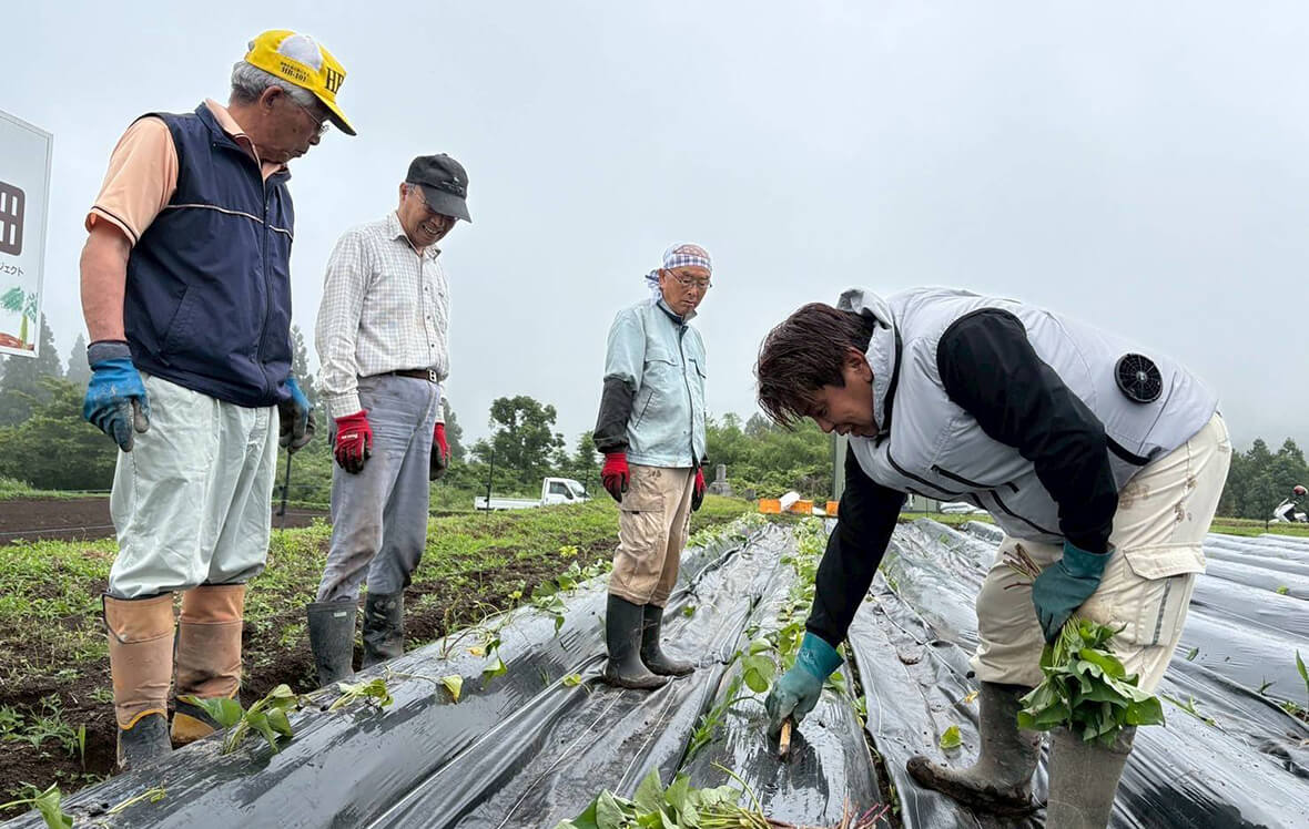 「さつまいも苗植え」の様子5