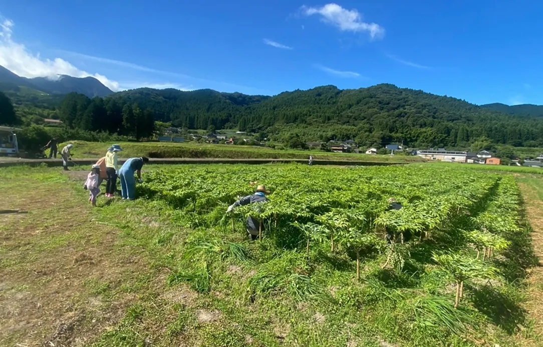 2024年7月27日 天間電柵設置風景2