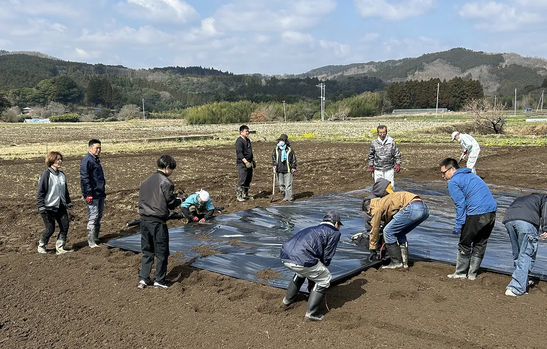 2025年3月20日 こんにゃく畑消毒・シートかけ